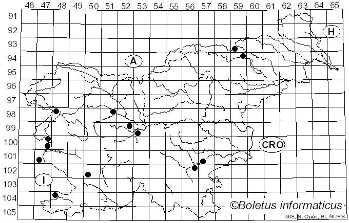 <i>Leucoagaricus carneifolius</i> (Gillet) Wasser (1977)