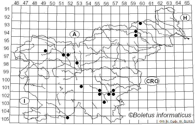 <i>Panellus mitis</i> (Pers.) Singer (1936)