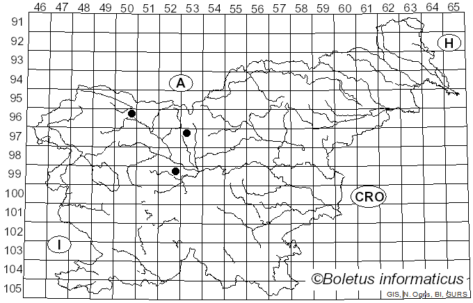 <i>Puccinia rubigo-vera</i> var. <i>simplex</i> Körn.
