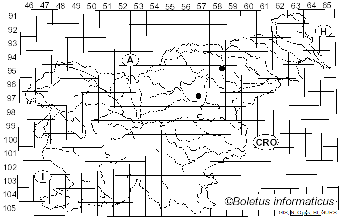 <i>Pluteus pouzarianus</i> var. <i>albus</i> Bonnard