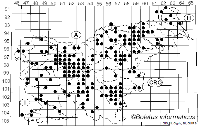 <i>Rhodocollybia maculata</i> (Alb. & Schwein.) Singer (1939)