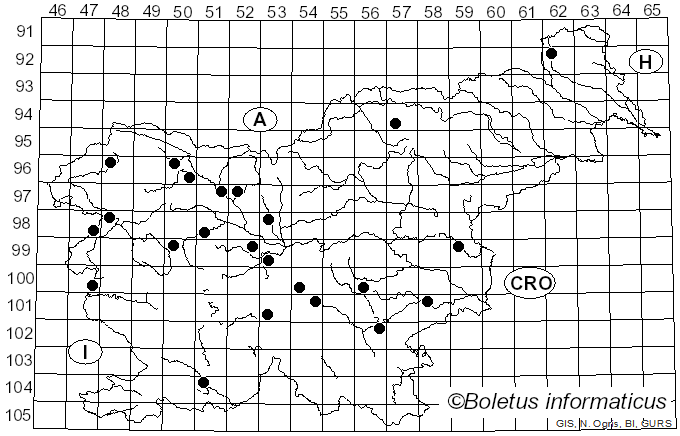 <i>Exidia recisa</i> (Ditmar) Fr. (1822)