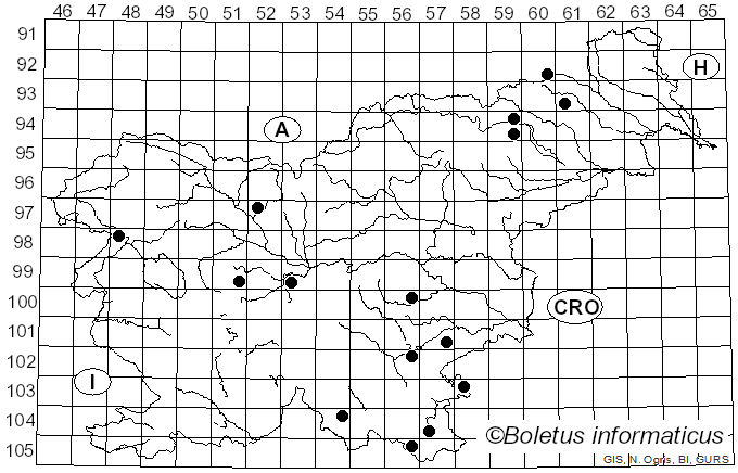 <i>Phellinus tremulae</i> (Bondartsev) Bondartsev & Borissov (1953)