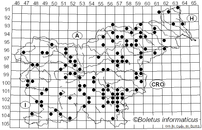 <i>Russula nobilis</i> Velen. (1920)