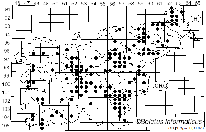 <i>Amanita caesarea</i> (Scop.) Pers.