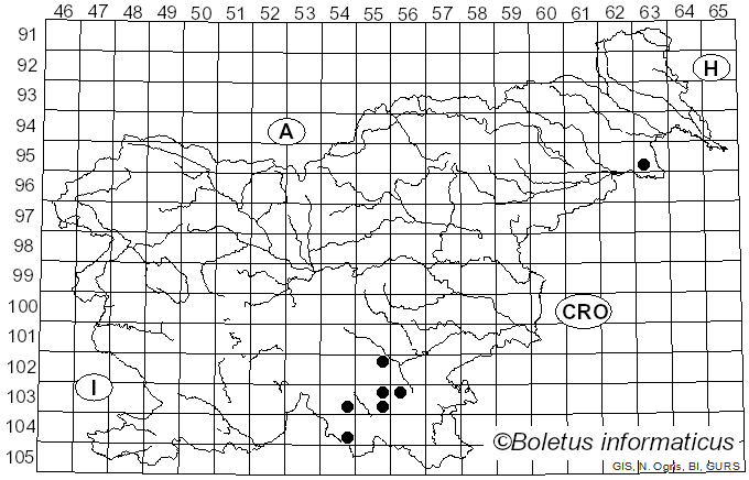 <i>Rigidoporus crocatus</i> (Pat.) Ryvarden (1983)