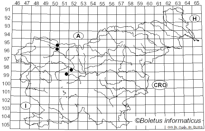 <i>Myxosporium ariae</i> Allesch. (1895)