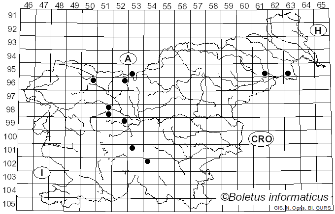 <i>Rhodonia</i> Niemelä (2005)