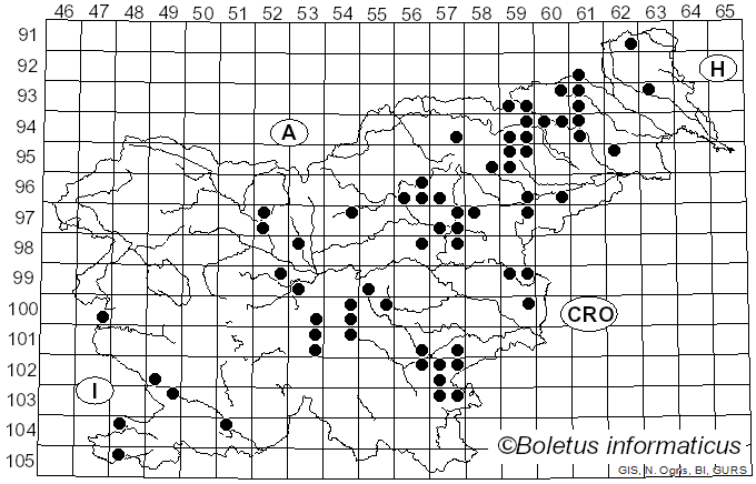<i>Hygrophorus arbustivus</i> Fr. (1836)