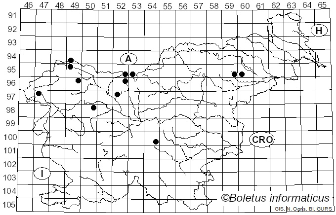 <i>Osteina</i> Donk (1966)