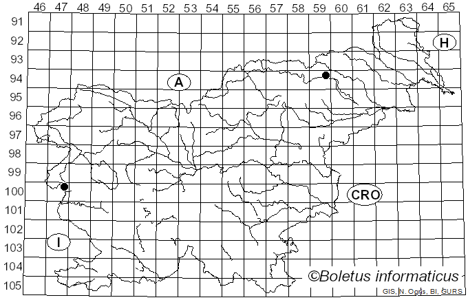 <i>Cortinarius subglutinosus</i> P. Karst.