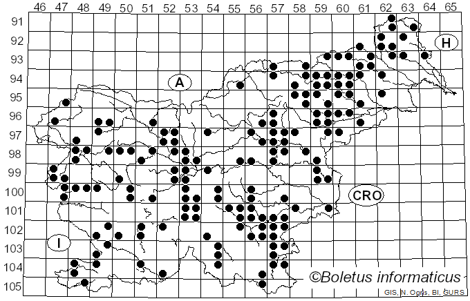 <i>Mycena galericulata</i> (Scop.) Gray (1821)
