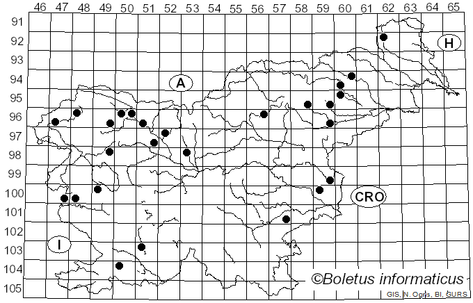 <i>Ascocoryne cylichnium</i> (Tul.) Korf (1971)
