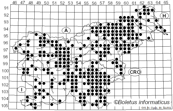 <i>Stereum</i> Hill ex Pers. (1794)