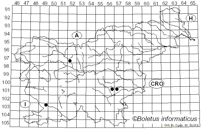 <i>Dissingia</i> K. Hansen, X.H. Wang & T. Schumach. (2019)