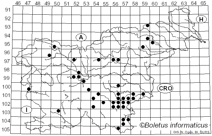 <i>Russula pseudointegra</i> Arnould & Goris (1907)