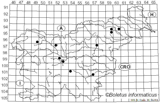 <i>Lepiota felina</i> (Pers.) P. Karst. (1879)