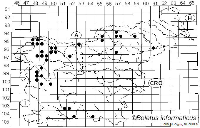 <i>Physconia distorta</i> (With.) J.R. Laundon (1984)