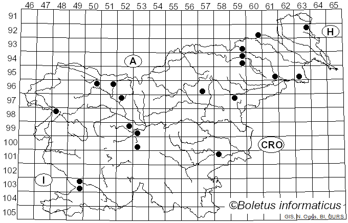 <i>Hyphodontia quercina</i> (Pers.) J. Erikss. (1958)