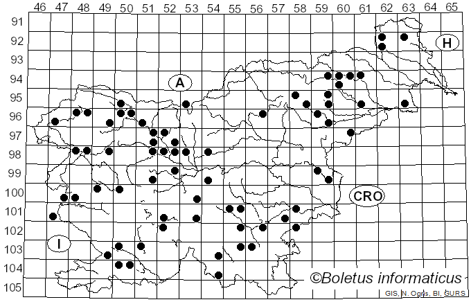 <i>Ascocoryne</i> J.W. Groves & D.E. Wilson (1967)
